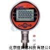 數(shù)字壓力校驗(yàn)儀 BKT-CONST273
