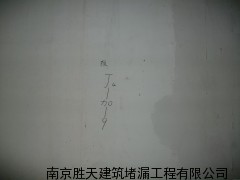 臨沂伸縮縫堵漏價格