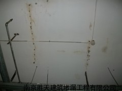 滨州伸缩缝堵漏价格