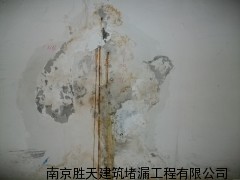 安庆伸缩缝堵漏价格