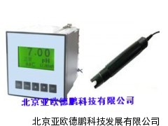 DP-612中文在线PH计