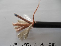控制电缆-DCS系统专用本安屏蔽电缆
