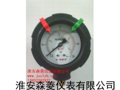 端面热电阻 WZPM-065  PT100  Φ6*50