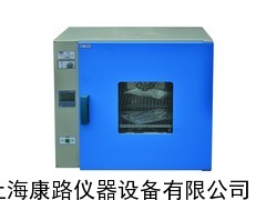 数显灭菌烘箱 灭菌烤箱 热空气灭菌消毒箱GRX-9023A