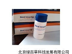 SiliaSphere c18反相填料