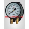 DPYZS-102双针压力表/压力表