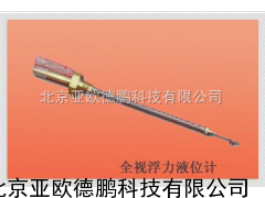 DP-FYJ-1全视浮力液位计