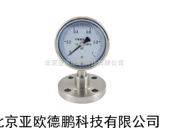 DP-YTPF-100不锈钢隔膜压力表/隔膜压力表