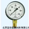 DP-YE-100膜盒壓力表