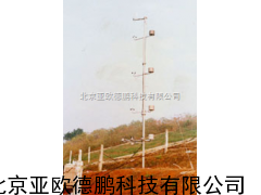 小气候自动观测系统/小气候自动观测站/气象站