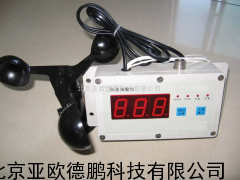 DP-300A风速报警仪/在线式风速仪