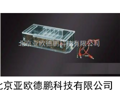 DP-DY-35大号水平电泳槽 水平电泳槽