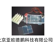 多功能水平电泳槽（模具成型）