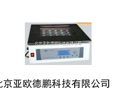 石墨模块自动消化装置