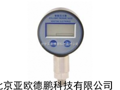 DP-WA-BPZ-Ⅰ数字压力表