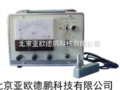 指针式测磁仪/轴承残磁测定仪/指针式残磁检测仪