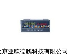 DP-XSE智能控制仪表