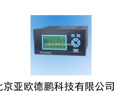 DP-CF10R多功能记录仪/双通道记录仪//