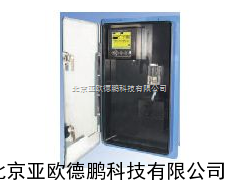 硅磷酸根分析仪/硅磷酸根分析器