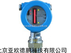 DP-CTS-DLI电容式物位计/物位计