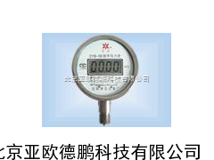 DP-CYB-100通用型数字压力表 /