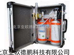 便携式气体报警仪传感器现场检测校准装置/