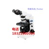 CX41教学级生物显微镜 奥林巴斯OLYMPUS