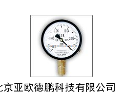 DP-Y100压力表/