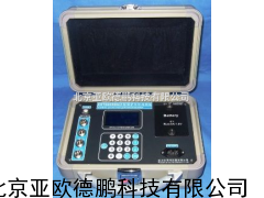 DP-600阴保护监测仪/