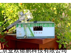 DP-CI900便携式乙烯气体分析仪/