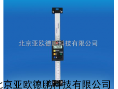 DP-100数显标尺/标尺