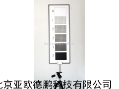 DP-QT203M林格曼烟气浓度图