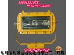 400w功率歐司朗光源防爆強(qiáng)光泛光燈 BFC8100