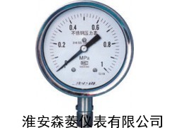 不锈钢膜盒压力表 YE-100B 0-60KPa