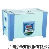 SB25-12DTN超声波清洗机<22.5L/600W>
