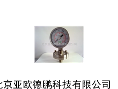 DP-Y-ML氨压力表/压力表/