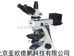 三目透反偏光显微镜/透反偏光显微镜/