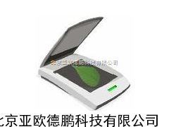 活体叶面积测定仪 /叶面积测定仪 / 亚欧