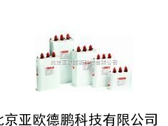 自愈式低电压并联电容器/