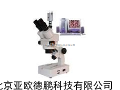 电脑型连续变倍体视显微镜/体视显微镜/
