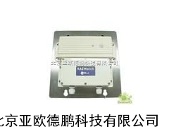 射线检测器/射线报警仪/在线式射线检测器