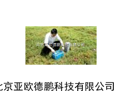 多功能电法找水仪/电法找水仪
