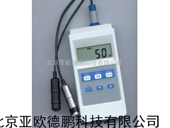 涂层测厚仪/便携式涂层测厚仪/ 亚欧