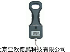 DP-815电子秤 亚欧