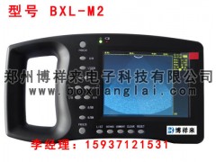 兽用B超/猪用B超 兽用B超发情鉴定-博祥来兽用B超