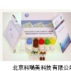 白介素10 ELISA試劑盒,IL-10 ELISA Kit