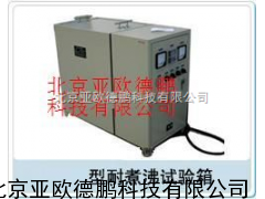 DP-ZF-1耐煮沸试验箱 /