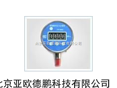 智能数字压力记录表/数字压力记录表