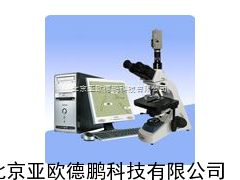 纤维细度分析仪/ 纤维细度检测仪//