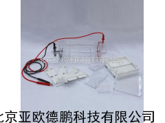 琼脂糖水平电泳仪/琼脂糖水平电泳槽/电泳仪